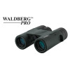 Jumelles Waldberg Pro 8x32 ED — vue 6