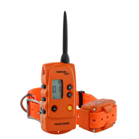 NUM'AXES - Ensemble de dressage CANICOM 1000 orange