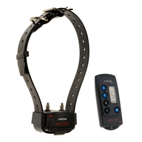 Kit Collier d'éducation Canicom 200 - 200m