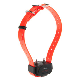 Collier d'éducation Canicom seul
