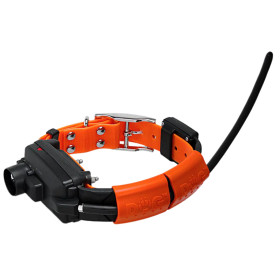 Collier seul GPS, Beeper et Dressage pour chiens DogTrace X30TB