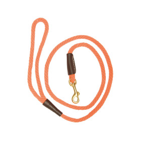 Laisse orange pour chien avec mousqueton