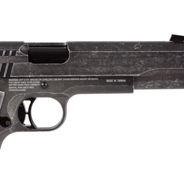 Pistolet Sig Sauer 1911 We The People — vue 7