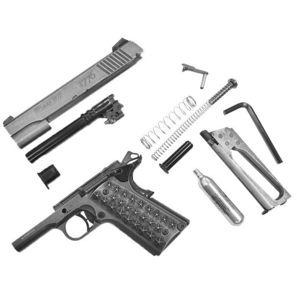 Pistolet Sig Sauer 1911 We The People — vue 8