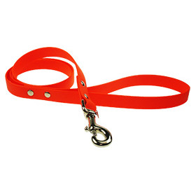 Laisse Biothane Beta 1,20mlx19mm Orange