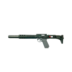 Kit de conversion Assassin pour AAP01 crosse PDW