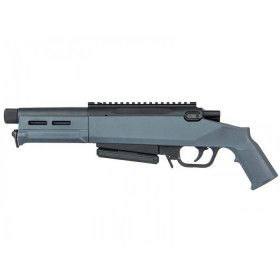 Réplique longue 6mm Striker AS03 ressort gris