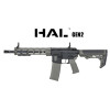 Réplique longue 6mm SA-F05 Flex HAL G2 OD