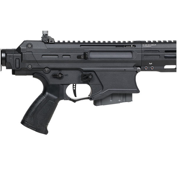 Réplique longue 6mm TR80 DMR — vue 5