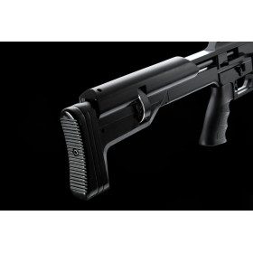 Carabine M60 PCP C5.5 40J — vue 2