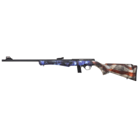 Carabine 8122 22LR USA — vue 2