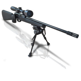 Pack carabine SPA 22 Tactical 22LR + lunette 3-9x40 + bipied