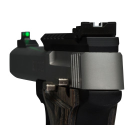 Pistolet Buckmark Plus S/S UDX SE MS ADJ S 22LR — vue 2