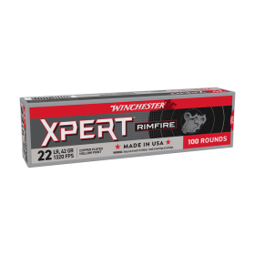 Balles 22LR Expert CP 42gr x100