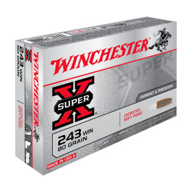 Balles 243Win Super X PSP 80gr x20