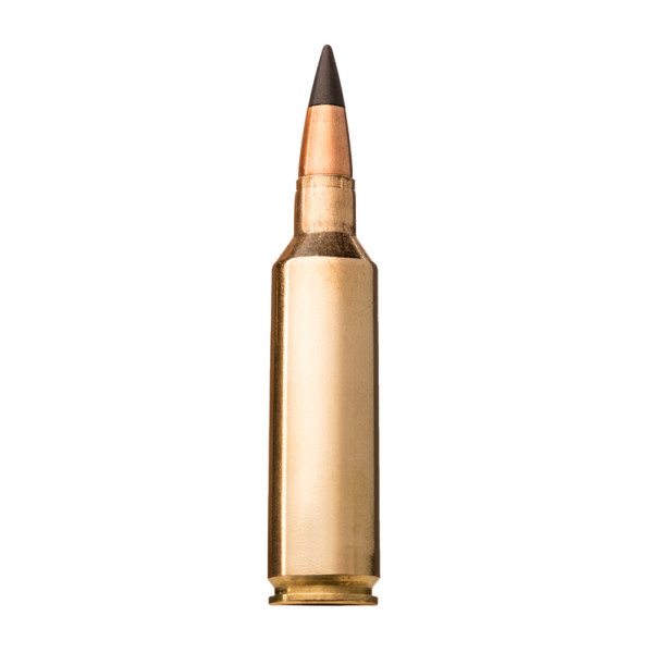 Balles 243Win Extreme Point 95gr x20 — vue 2