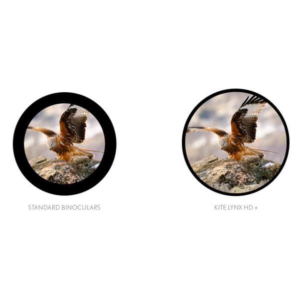 Jumelles Lynx HD+10x42 — vue 5