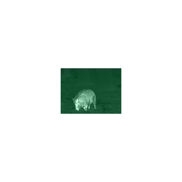 Clip Hemera Standard XX0041 — vue 4