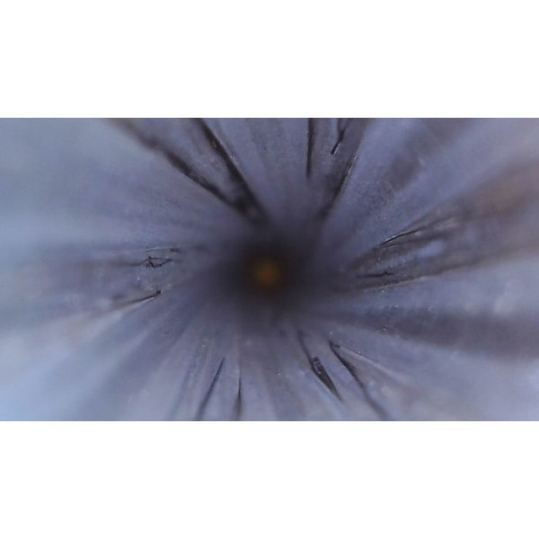 Camera Borecam 2.0 — vue 10