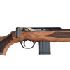 Carabine 22LR ISSC Austria SPA 22 crosse bois — vue 2