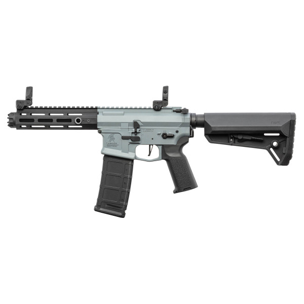 Réplique AEG LT-32 Hellion NSR Grey pack complet — vue 5