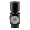 Régulateur HPA 0-150 psi GEN2 double sortie — vue 2