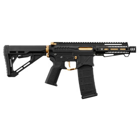 Réplique R15 mod 1 Zion Arms noire et or garde main court
