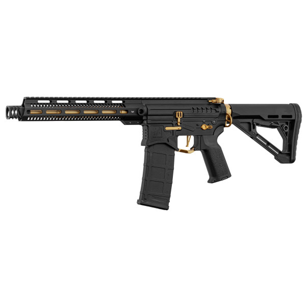 Réplique R15 mod 1 Zion Arms noire et or garde main long — vue 5