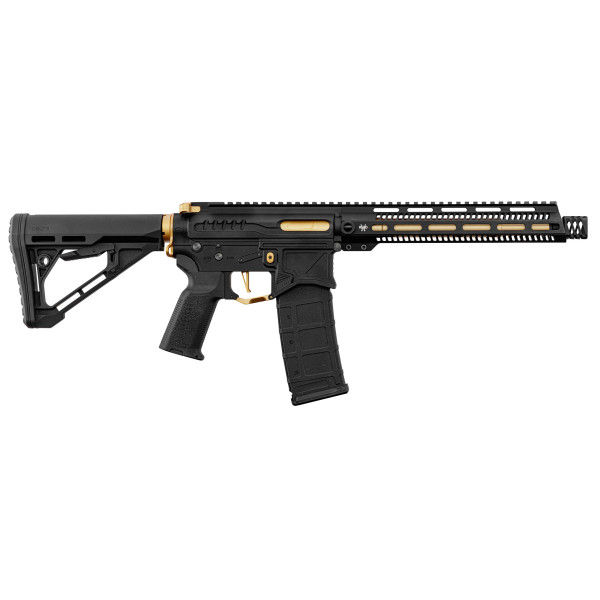 Réplique R15 mod 1 Zion Arms noire et or garde main long — vue 11