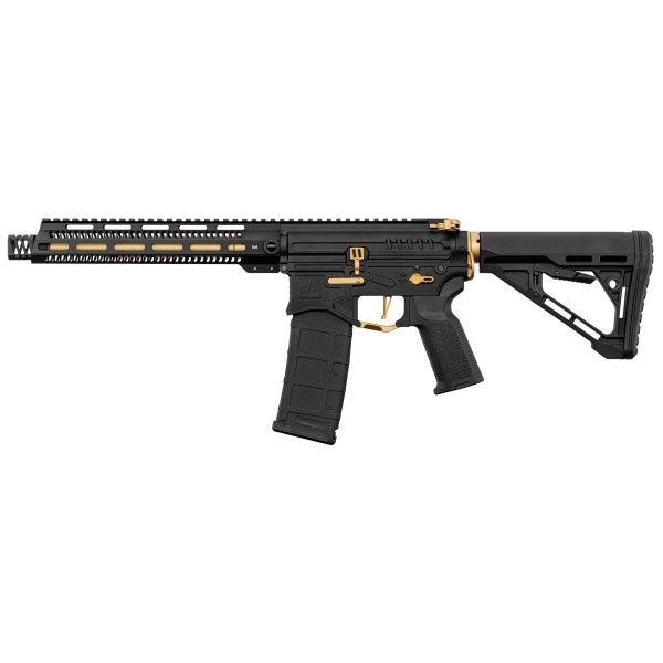 Réplique R15 mod 1 Zion Arms noire et or garde main long — vue 12