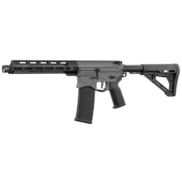 Réplique R15 mod 1 Zion Arms noir/gris garde main long — vue 14