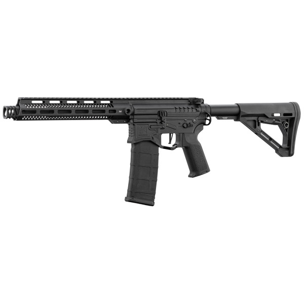 Réplique R15 mod 1 Zion Arms noire garde main long — vue 3