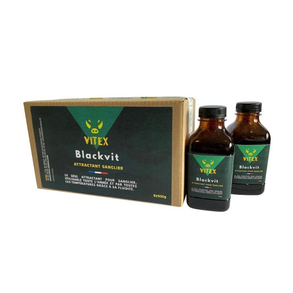 Blackvit attractif sanglier tout temps — vue 2