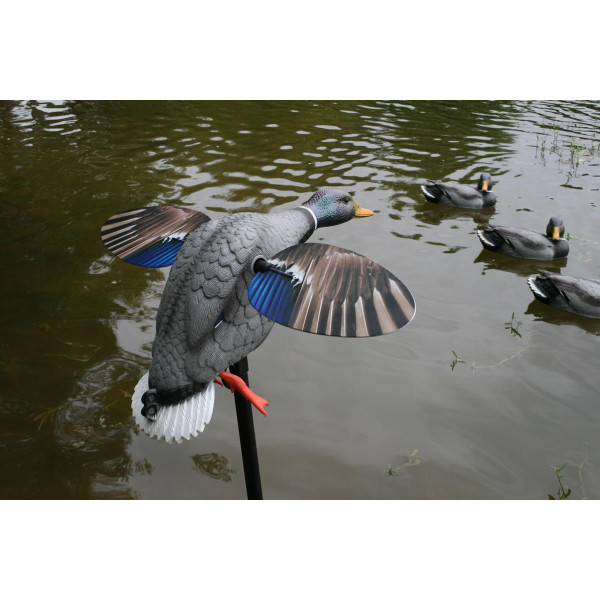 MOJO King Mallard Elite Series – Canard tournant avec batterie Li-ion 6V — vue 2