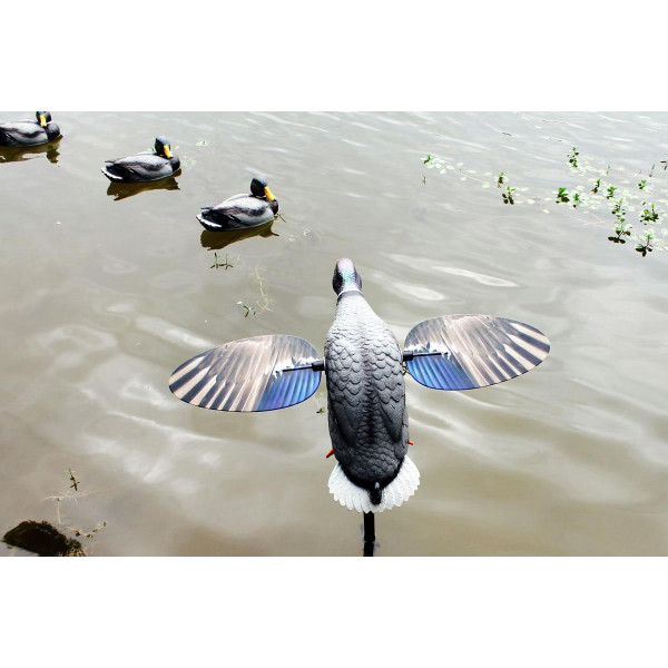 MOJO King Mallard Elite Series – Canard tournant avec batterie Li-ion 6V — vue 3