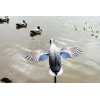 MOJO King Mallard Elite Series – Canard tournant avec batterie Li-ion 6V — vue 3