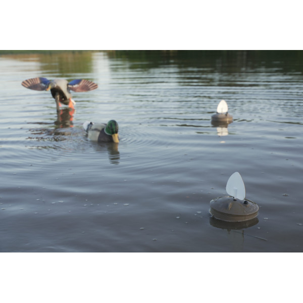 Leurre MOJO Flock A Flicker 2 x4 — vue 2