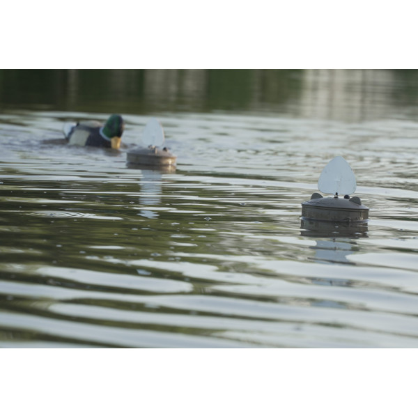 Leurre MOJO Flock A Flicker 2 x4 — vue 3