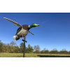 Appelant motorisé électrique canard ailes tournantes — vue 3