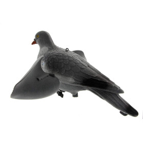 Appelant pigeon ailes tournantes — vue 2