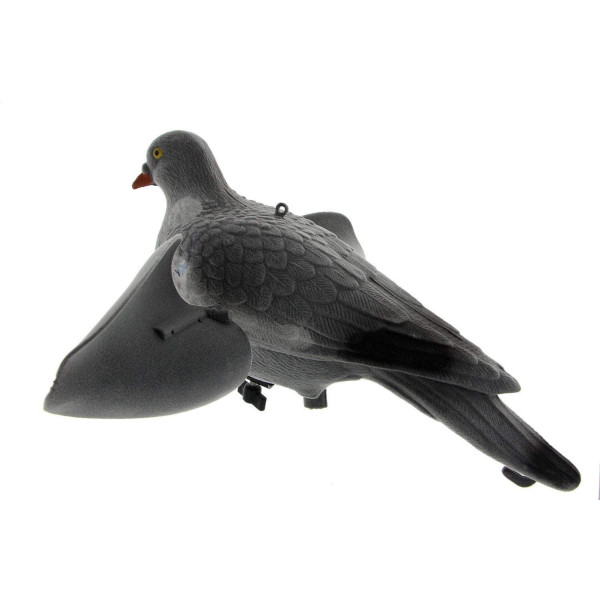 Appelant pigeon ailes tournantes — vue 2
