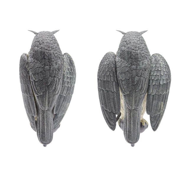 Appelant Grand Duc ailes battantes — vue 2