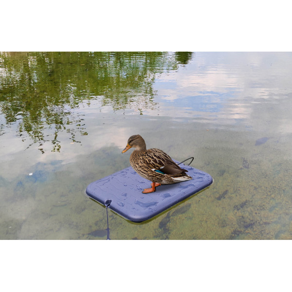 Plateau flottant support pour appelants — vue 3