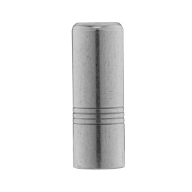 Embouchure pour corne