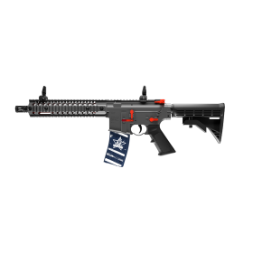 Carabine Crosman R1 Fallen Patriots Edition FA BB 4.5MM 3J — vue 2