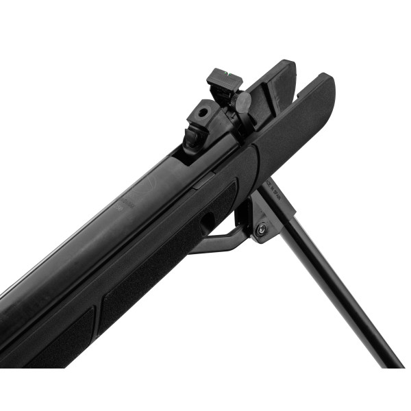 Pack carabine Gamo G-Magnum 1250 IGT + lunette 3-9x40 – Cal. 4,5 ou 5,5 — vue 3