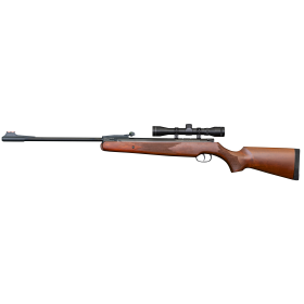 Carabine Remington Express Bois C4.5 19.9J + Lunette 4X32 — vue 2