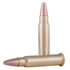 Cartouches CCI .17 HMR Gamepoint 20 grains — vue 6