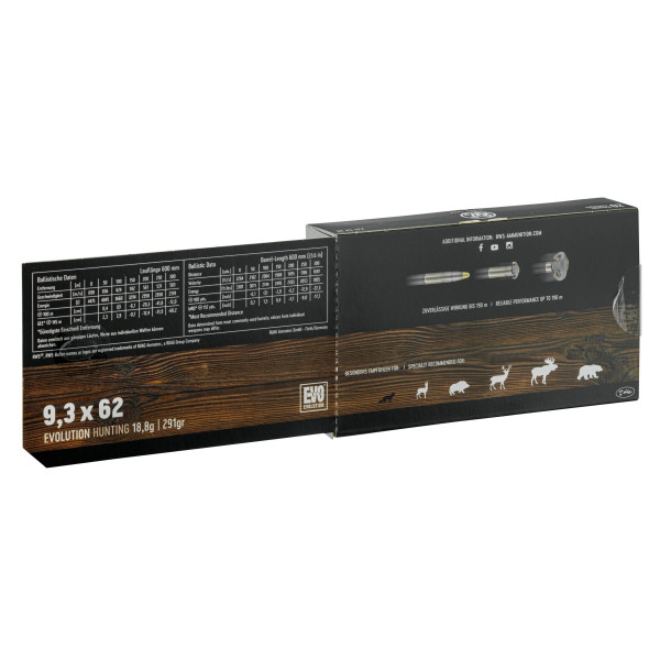 RWS 9.3x62 Evolution 291 gr / 18.8 g — vue 4