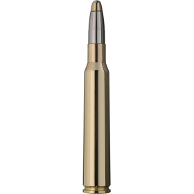 RWS 7x64 Evolution 159 gr / 10.3 g